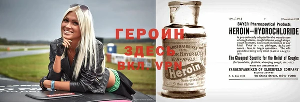 сатива Новодвинск