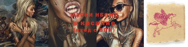 гидра Алексин